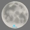 moonlagoongoods